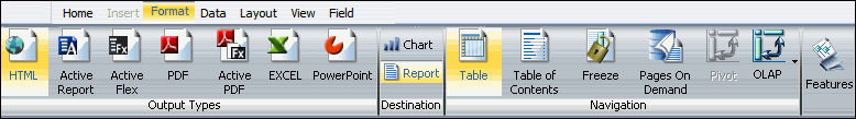 Format tab for reports