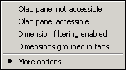 OLAP options context menu