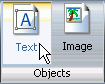 Text button of the Objects group